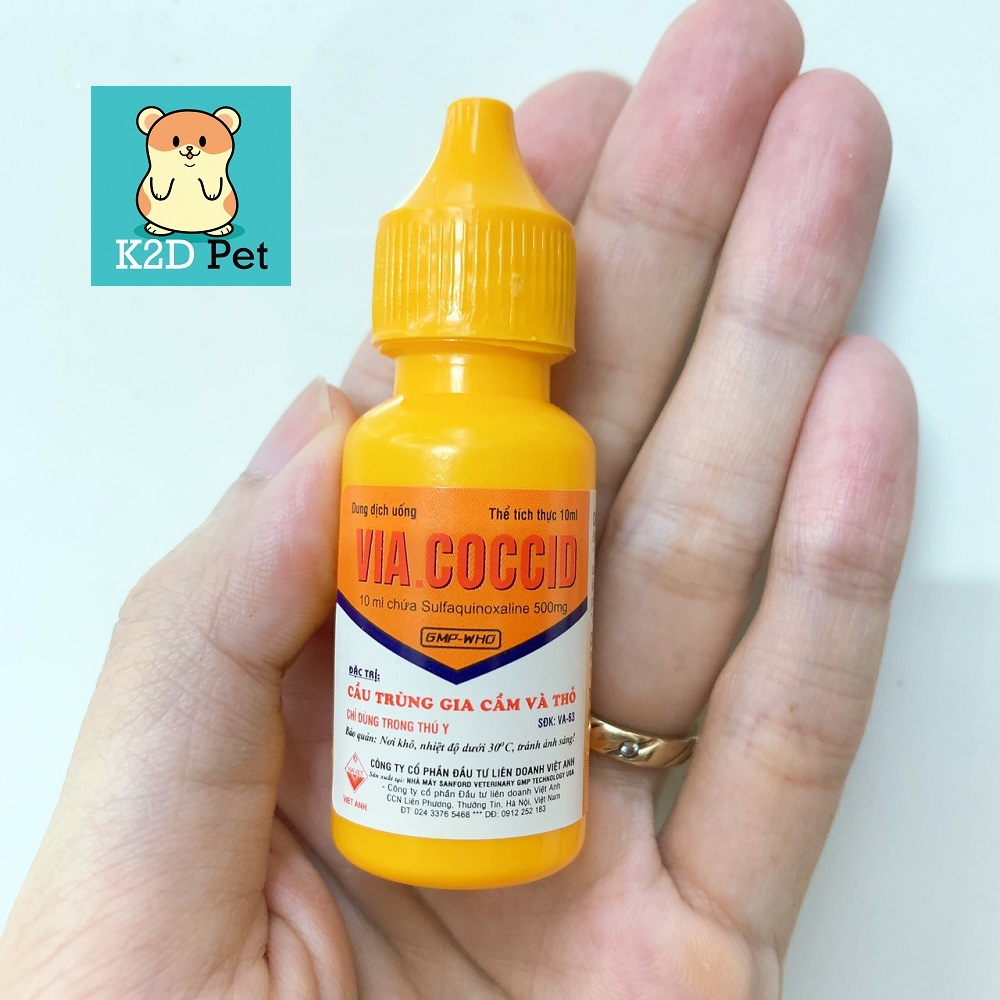 Cầu Trùng, Ecoli, Tụ Huyết trùng cho Guinea Pig (bọ ú, chuột lang), thỏ