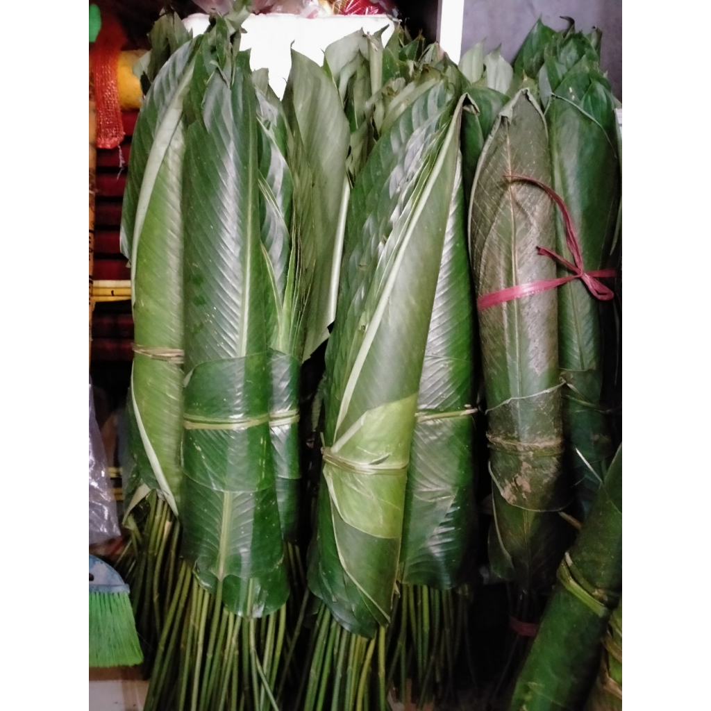 Lá Dong Tươi Gói Bánh Chưng, Gói Giò