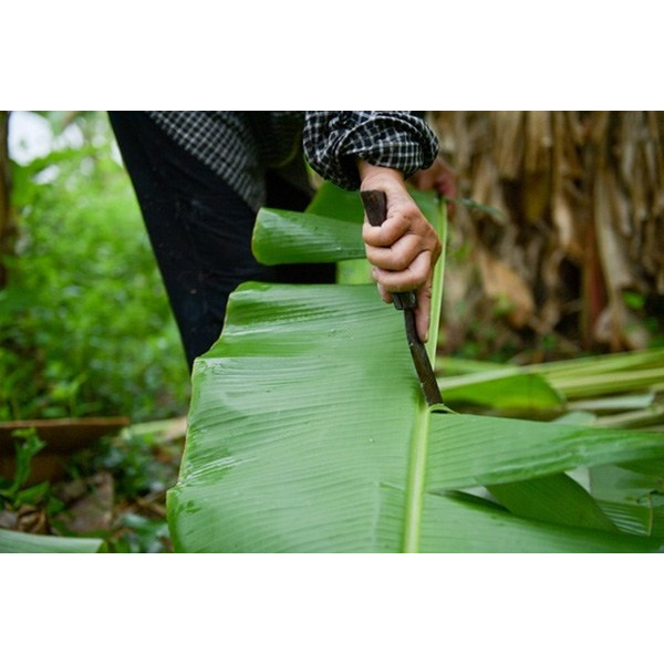 1KG Lá Chuối Khô - Tươi Dùng Để Gói Bánh