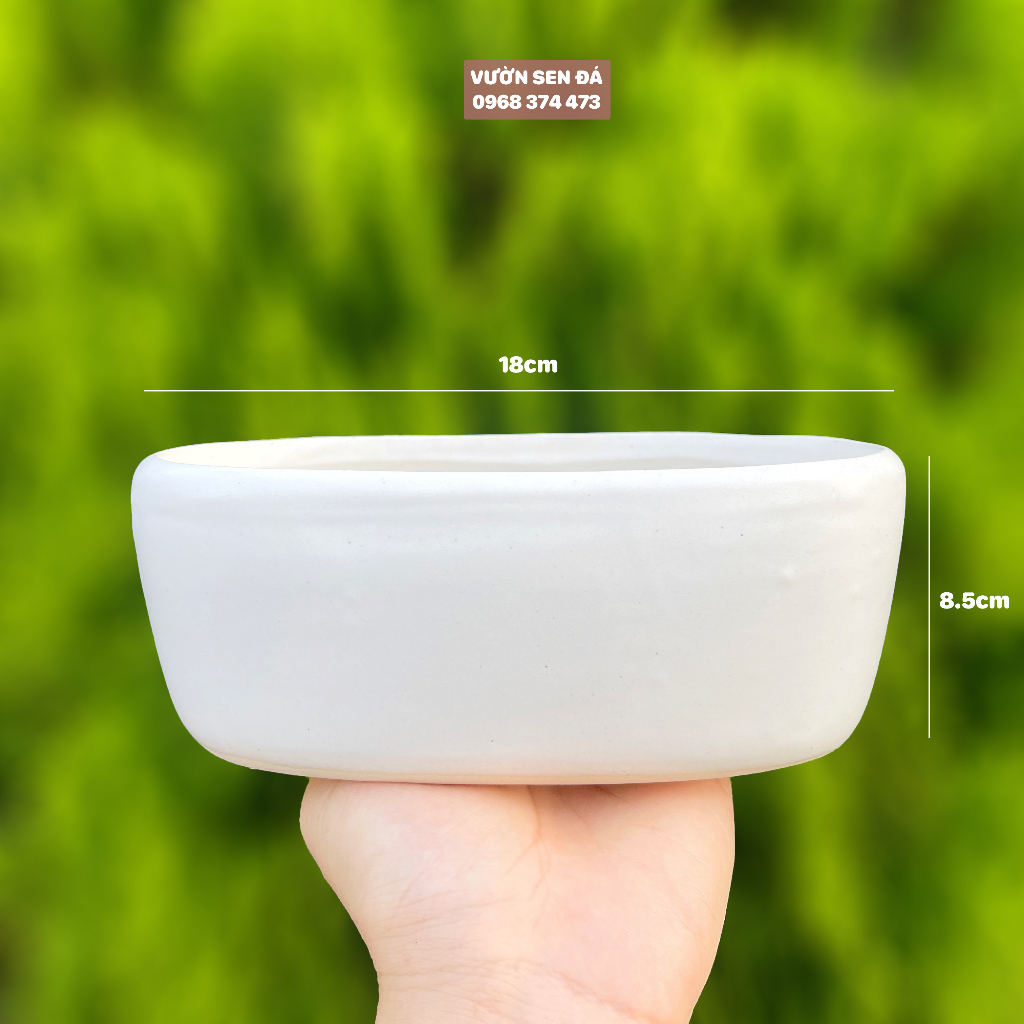 Chậu sứ ovan 18x9cm - Trơn