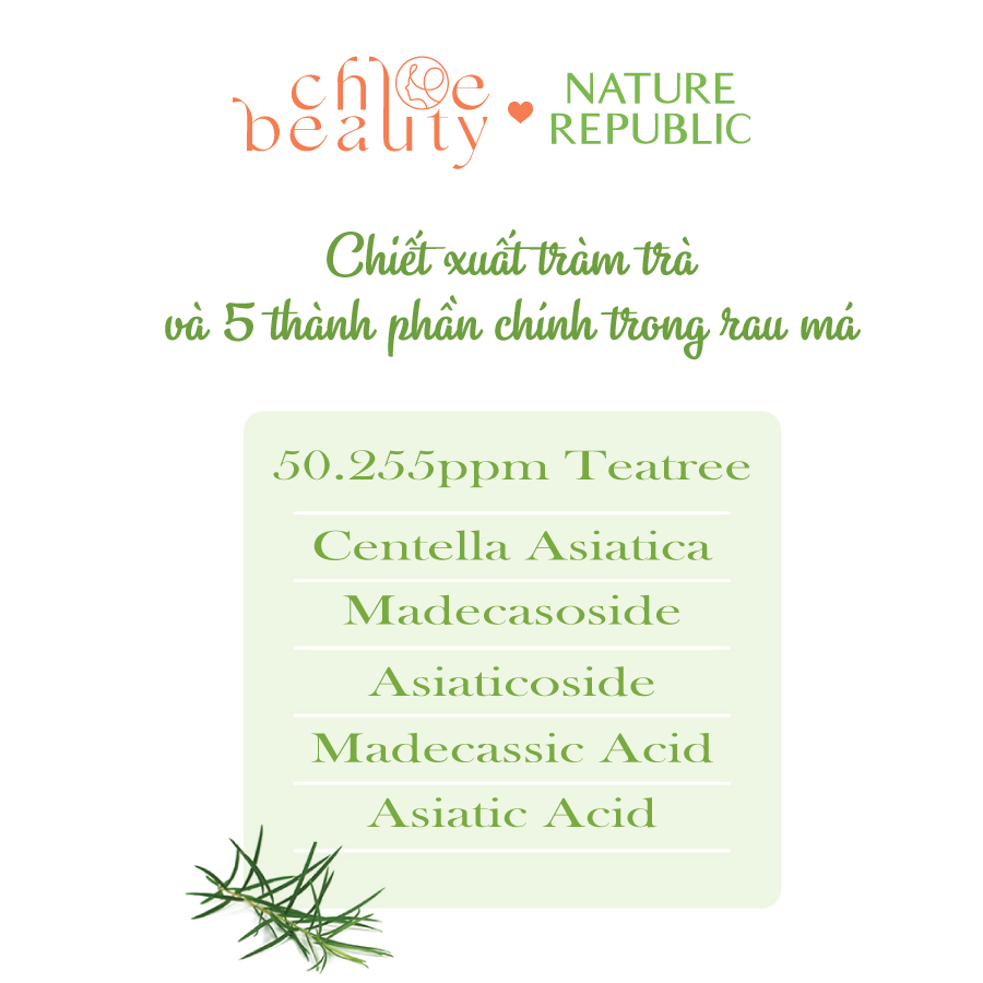 Nước cân bằng da cho da mụn, nhạy cảm NATURE REPUBLIC Green derma Tea tree Cica Big Toner 500ml