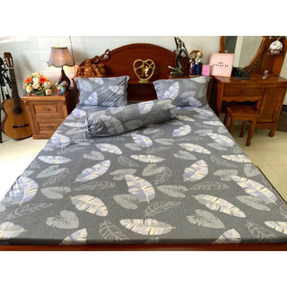 Bộ drap thun hàn quốc 4 món vạn phát