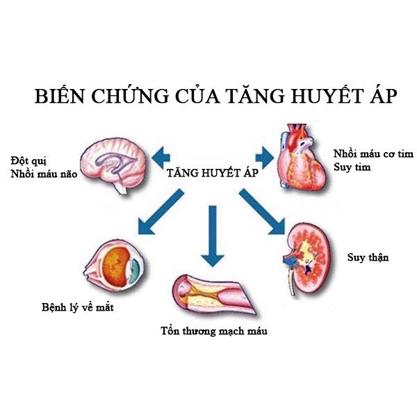 Viên Uống Hỗ Trợ Ổn Định Huyết Áp, Tiểu Đường Và Mỡ Máu Kwangdong Hàn Quốc Hộp 112 Viên
