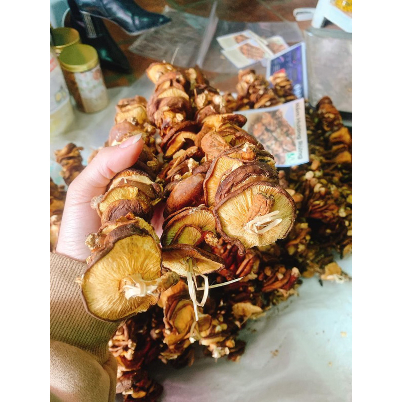 Nấm Hương Rừng Khô Lai Châu Túi 500G Thơm, Ngon Giàu Dinh Dưỡng, Đặc Sản Tây Bắc