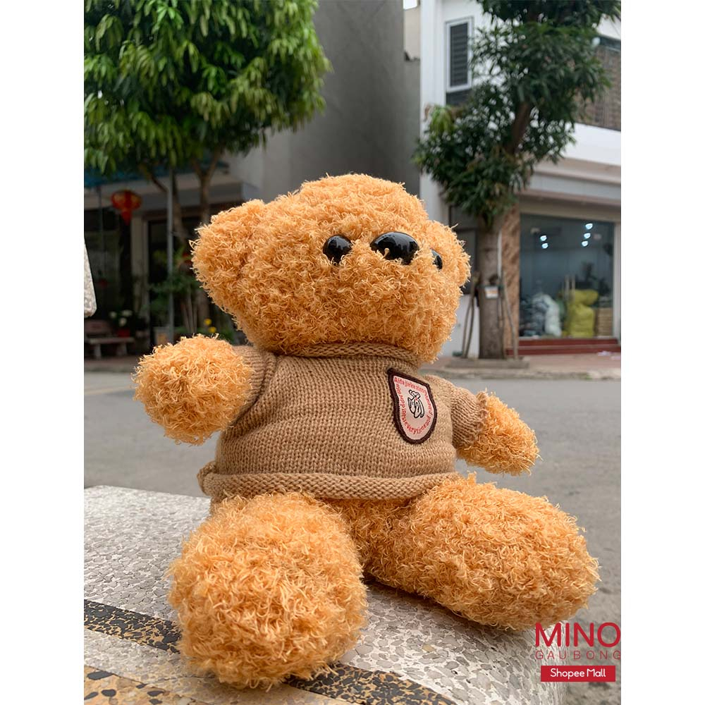 Gấu Teddy To Head Tales Mặc Áo Gối Ôm Hình Thú Teddy MINO STORE TH85