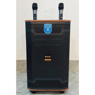 Loa karaoke di động hát hay giá rẻ bas 3 tấc 2 mic nhẹ chống hú rít, bảo hành 12 tháng