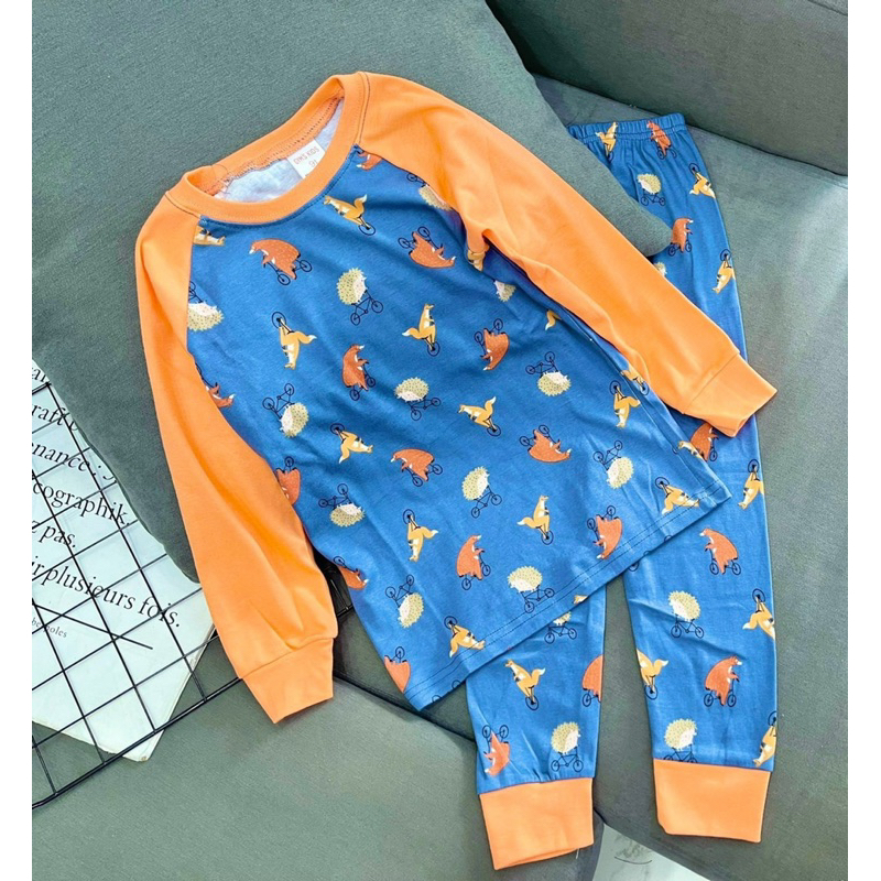 Bộ dài cho bé dài tay quần dài thun borip xuất khẩu cho bé trai size đại từ 23 45kg pikakids