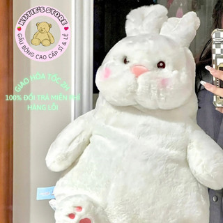 THỎ MÁ HỒNG CUTE DỄ THƯƠNG