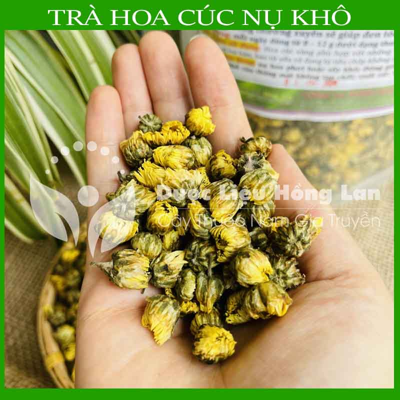 NỤ HOA CÚC VÀNG khô sạch đóng gói 100gram - congtyduoclieuhonglan