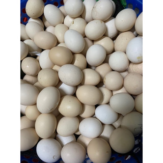 Chục Trứng gà ta chuẩn quê