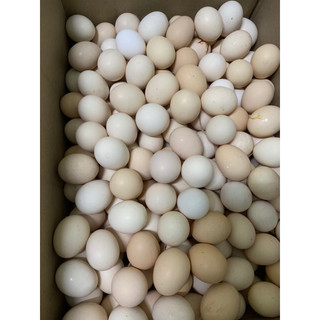 Chục Trứng gà ta chuẩn quê