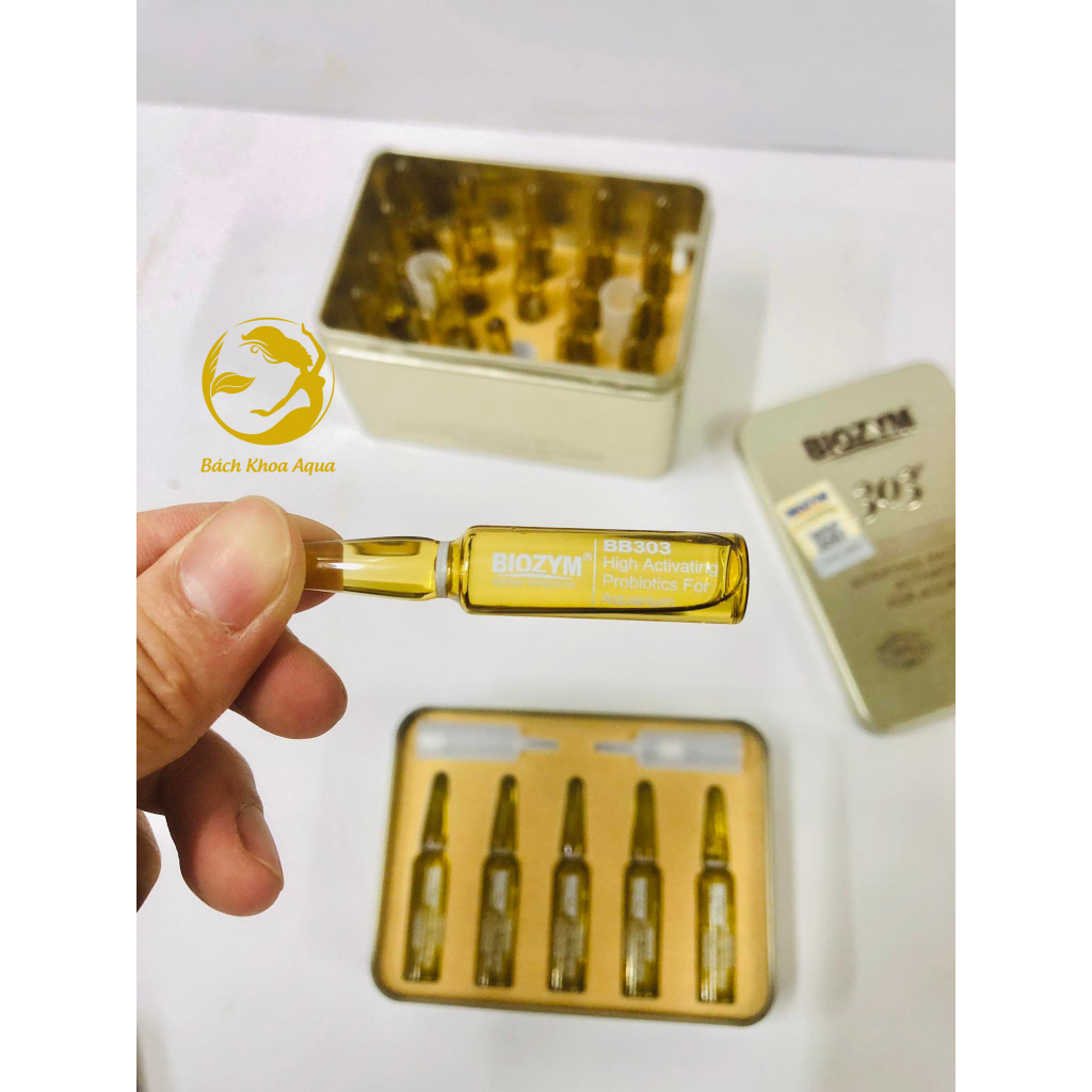 Vi sinh sống Biozym 303 Full hộp