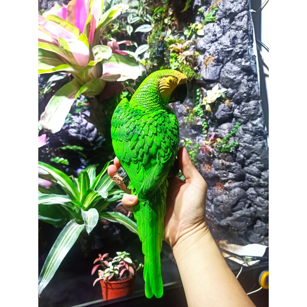 Mô hình chim vẹt, Chim Tu CĂNG - trang trí lũa bể cá- bán cạn, terrarium - mô hình trang trí tiểu cảnh-shopleo