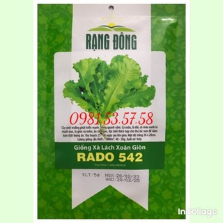 Hạt giống xà lách xoăn giòn Rạng Đông gói 5gram