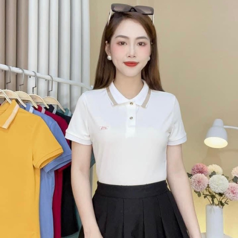 Áo Polo YODY Nam Và Nữ , Chất cotton cá sấu , co dãn 4 chiều , thấm hút mồ hôi | BigBuy360 - bigbuy360.vn