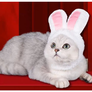 Nón tai thỏ 4 màu cho tết 2026 chó mèo - T3 PETS SHOP