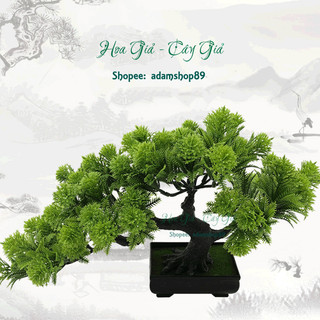 Cây bonsai giả - cây tùng thông TAZA2 Phú quý cát tường may mắn