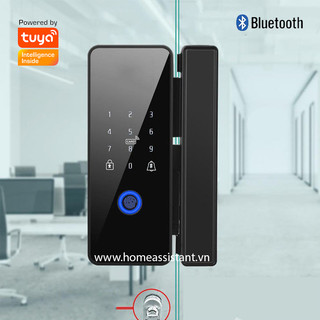 Khóa cửa kính vân tay mã số thẻ từ BGL01