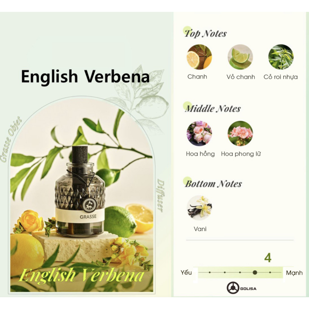 Nước hoa ô tô GRASS OBJET DIFFUSER 100ml | BigBuy360 - bigbuy360.vn