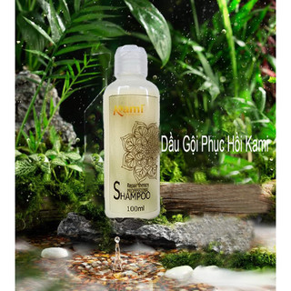 Bộ Gội Xả Phục Hồi Tóc Kami 100ml