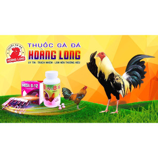 Mc 858 CHIẾC LẼ 2CC dành cho gà đá - Thuốc gà đá A Long