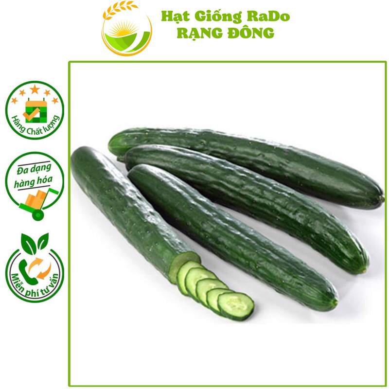 Hạt Giống Dưa Leo Nhật Chịu Nhiệt SUMMER 901 (Gói 0.5gram) Trồng Quanh Năm, Chịu Nhiệt Tốt