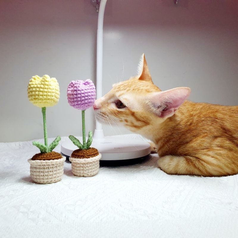 Chậu hoa len mini trang trí bàn học, quà tặng