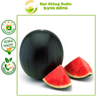 Hạt giống dưa hấu trái tròn rado 332 ruột đỏ hạt giống rạng đông