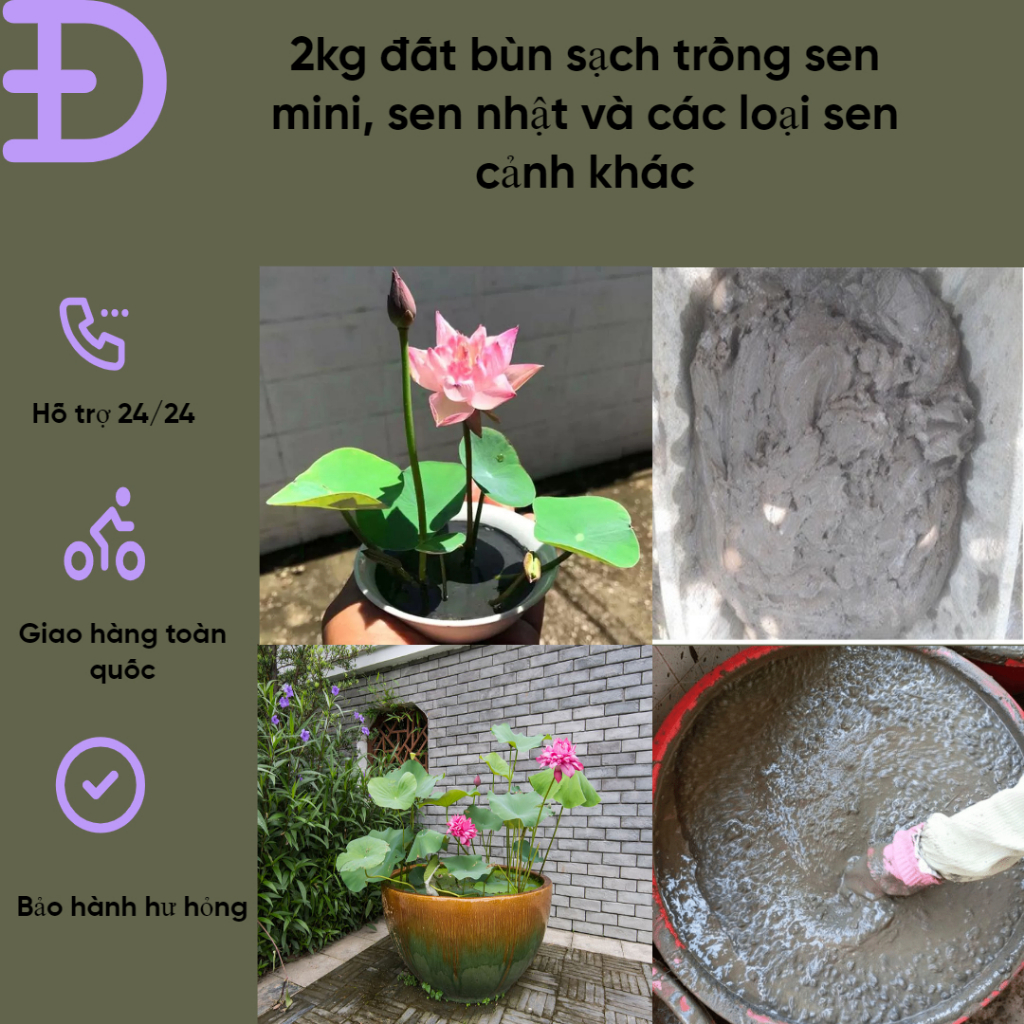2kg đất bùn sạch trồng sen mini, sen nhật và các loại sen cảnh khác