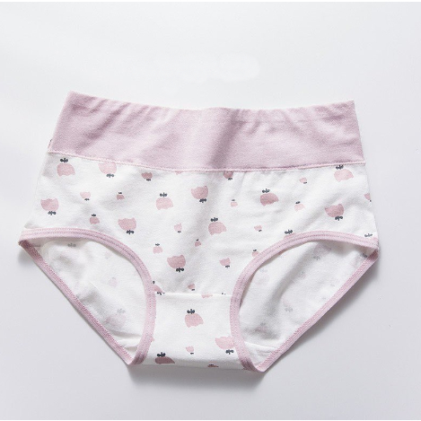 Quần lót nữ cotton Quảng Châu cao cấp cạp cao co giãn 4 chiều