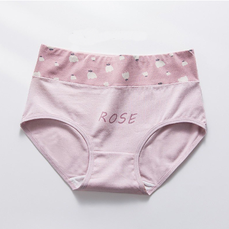 Quần lót nữ cotton Quảng Châu cao cấp cạp cao co giãn 4 chiều