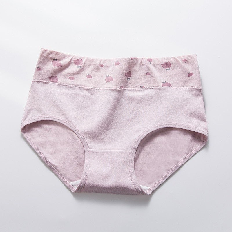 Quần lót nữ cotton Quảng Châu cao cấp cạp cao co giãn 4 chiều