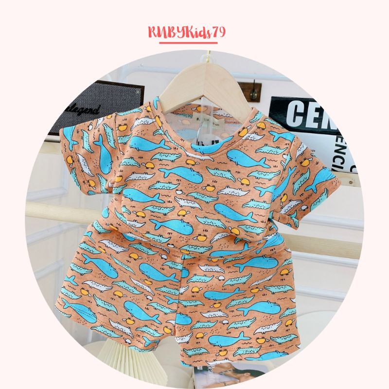 Bộ cộc tay bé trai chất vải cotton họa tiết xinh xắn - rubykids79