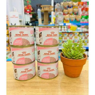 Pate royal canin mother & babycat 195gr
