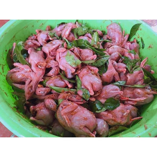 [ HCM ] Chim Cút Lá Móc Mật ( 1 khay 10 con )