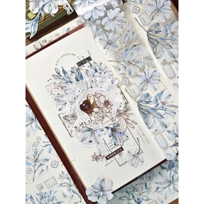Krisna.room ♡ Hãng XBJ- 1 chu kì 100cm cuộn băng dán hình lá xanh