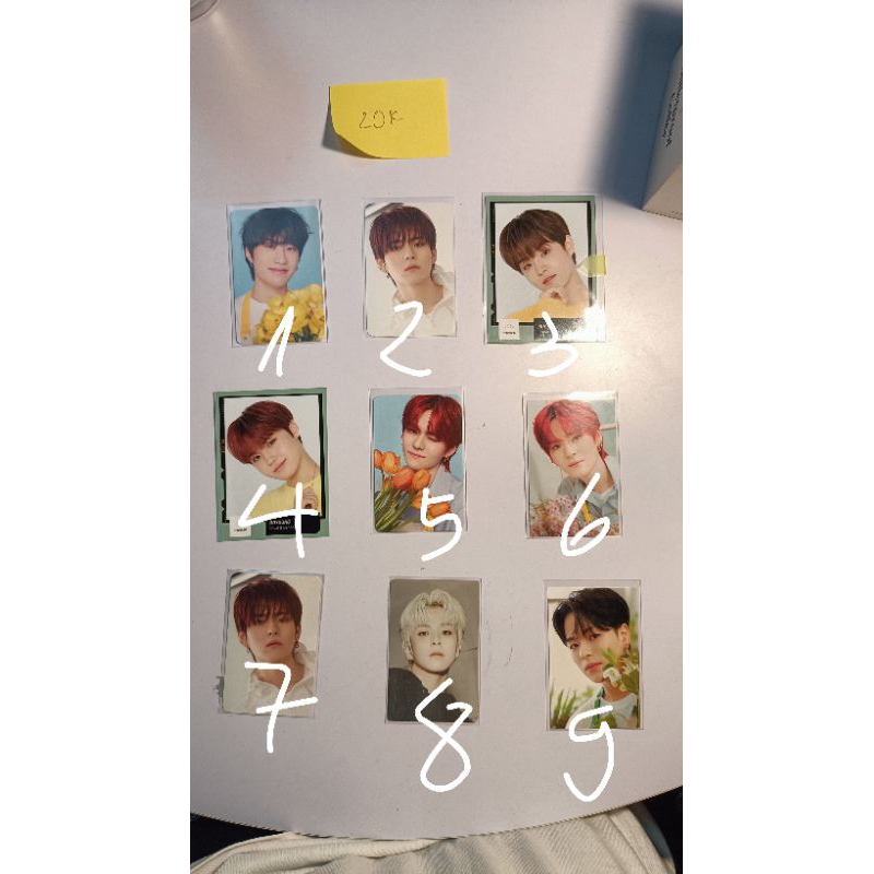 Thẻ ảnh Treasure OFFICIAL