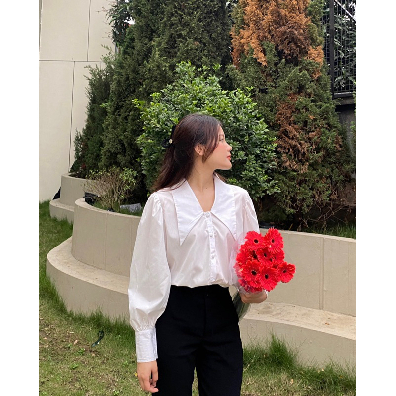 Áo sơ mi bánh bèo cổ nhọn tay phồng