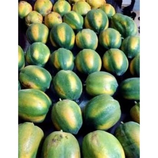 1kg hạt đu đủ chín sấy khô