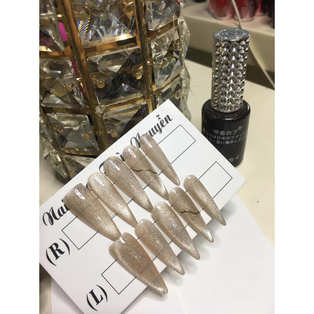 Nailbox thiết kế thạch nul mắc mèo