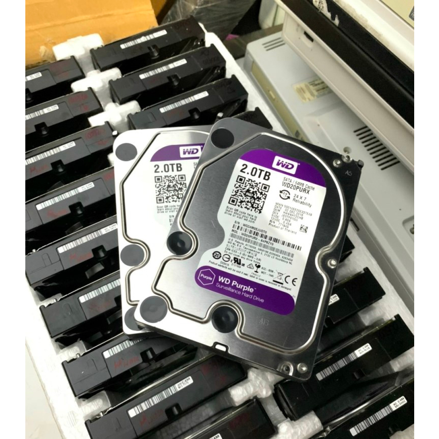 Ổ cứng WD 4TB 3TB 2TB 1TB PURPLE BLUE GREEN WD tím camera lưu trữ HDD 2TB 1T 2T 3T 4T ổ cứng sata máy bàn PC | BigBuy360 - bigbuy360.vn