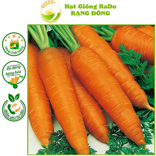 Hạt giống cà rốt củ dài rado 507 hạt giống rạng đông