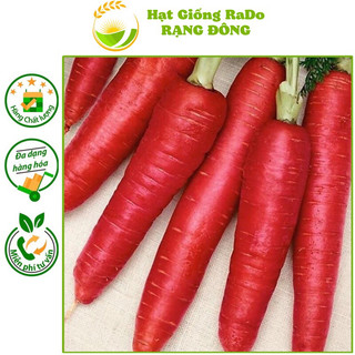 Hạt giống cà rốt đỏ red carot 402 hạt giống rạng đông