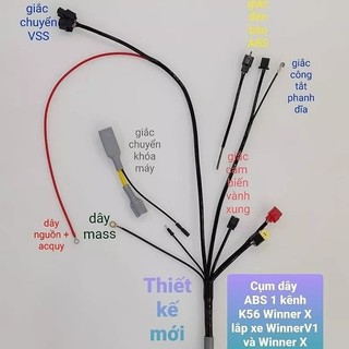 Dây abs k56 winner v1