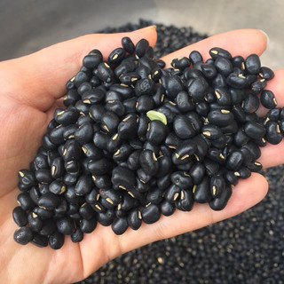 200gram đậu đen xanh lòng