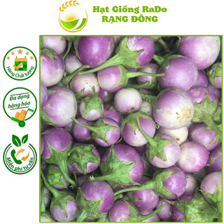 Hạt giống cà pháo tím rado 73 hạt giống rạng đông