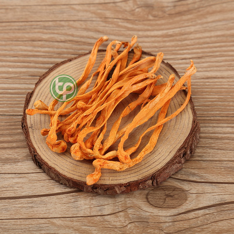 Đông trùng hạ thảo khô 100g , Bồi bổ cơ thể, Nâng cao sức đề kháng, Tốt cho sức khỏe