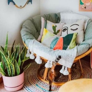 Cây lưỡi hổ giả cảnh. 70 cm kèm chậu nhựa