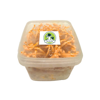 Nấm đông trùng hạ thảo tươi