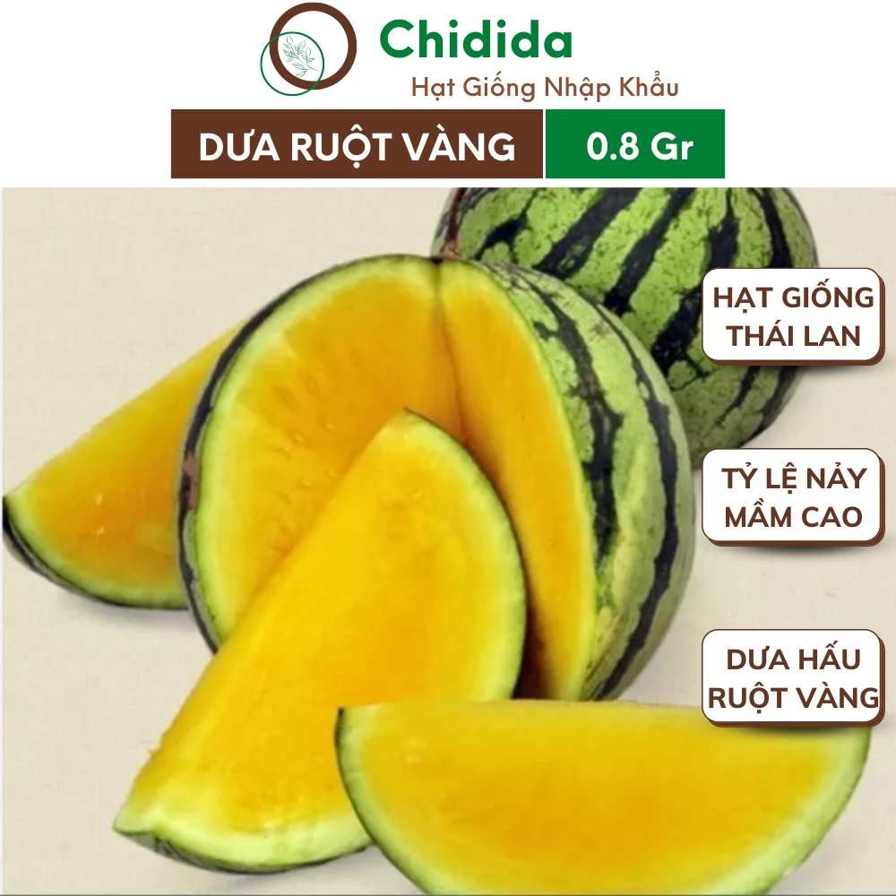 Hạt giống dưa hấu ruột vàng Chidida dưa không hạt giống F1 Thái Lan năng suất cao màu sắc bắt mắt gói 0.8g